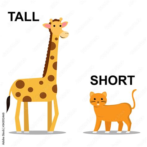 tall